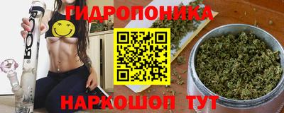 крисы Краснодар