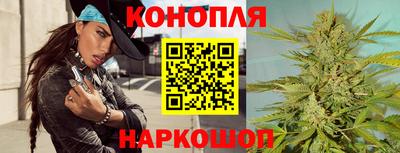 крисы Краснодар