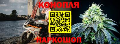 крисы Краснодар